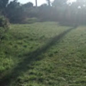 Meet your Posher, Ceilidh